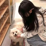 清洗者日记最新版下载